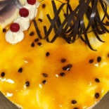 Gibo Gel Nourriture