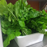 Risica Nourriture