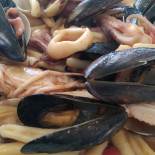 Salsedine Nourriture
