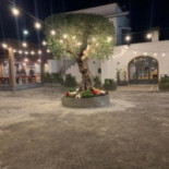 Eus Vino&cucina food