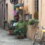 Il Mandolino Nourriture