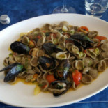 Seashell Comida