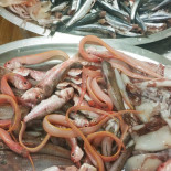 O Chi A Ca Toa food