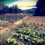 Verdarancio Food