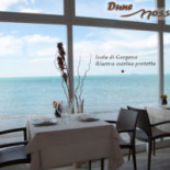 Dune Mosse Nourriture