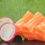 Opera Sushi Comida