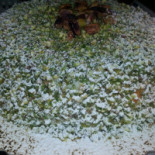 Mammuccari Comida