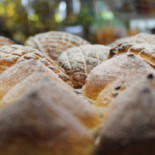 Guidi Figli Panificio Pasticceria Comida
