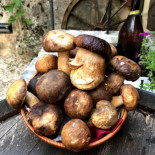 Vineria Tacconibus À l'intérieur