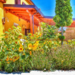 Masseria Monte Pizzi outside