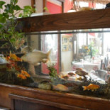 Trattoria Da Nonna Clara Nourriture