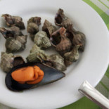 La Balena Nourriture