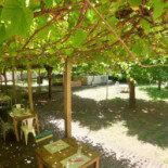 Vigna Del Borgo inside