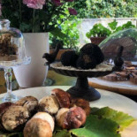 Trattoria Vigna food