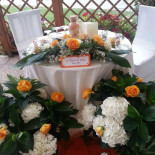 Doma Rossa Comida
