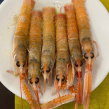 Mare Blu Fish Food Nourriture