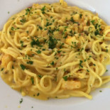 Mosquito Comida