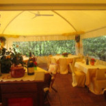 Darmagi food