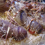 Pescheria Da Dany Comida