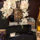 Caffè 9 3/4 Novetrequarti Nourriture