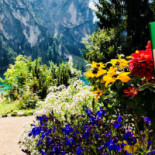 Pragser Wildsee Nourriture