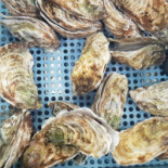 Marintavola Nourriture