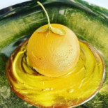 Salgari food
