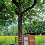 Three Trees Coffee Extérieur