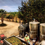 Cantine De Gregorio Comida