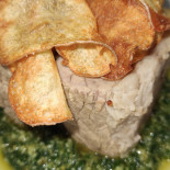 Brillo Arzillo À l'intérieur