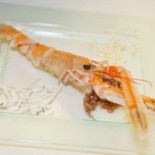 Artecrazia