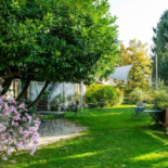 Albergo Real Castello Comida