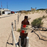 Wind Comida