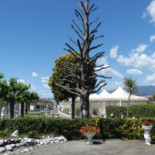 La Taverna Nourriture