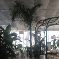 Bistrot Agriturismo Dolce Luna food