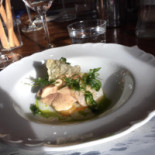 L'armadillo Comida