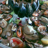 Termitito Nourriture