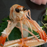 Ichikawa Comida