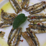 Trattoria La Vignia Di Pesce Fresco Comida
