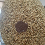 Noccioleria Martini Agripasticceria