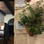 Trattoria Nonno Pici Dentro