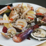 Cibarte Comida