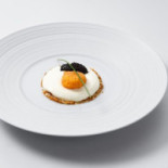 Gellius Cibo