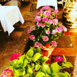 Osteria Martinelli inside