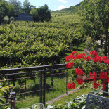 Agriturismo Vigneto Vecio Comida