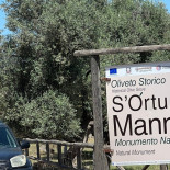 Agriturismo S'ortu Mannu Dentro