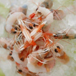 Dal Corsaro Al Mare Nourriture