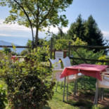 Trattoria Giglio Comida