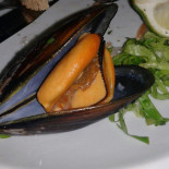 T2 Comida