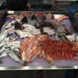 Planete Marine Comida